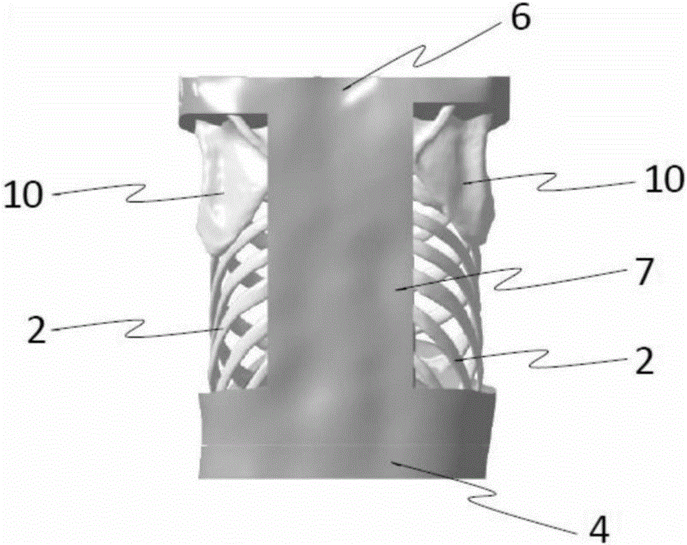 Thoracic cavity simulator