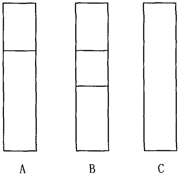 Preparation method of diagnostic test paper for detecting H-FABP (heart-type fatty acid binding protein)