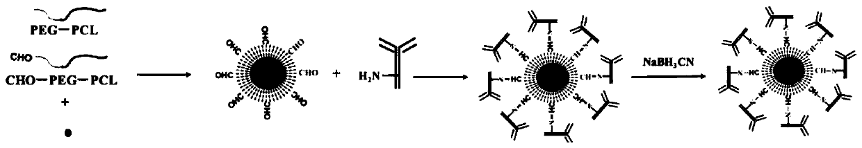 Target drug loaded micelle suitable for loading of hydrophobic chemical drugs