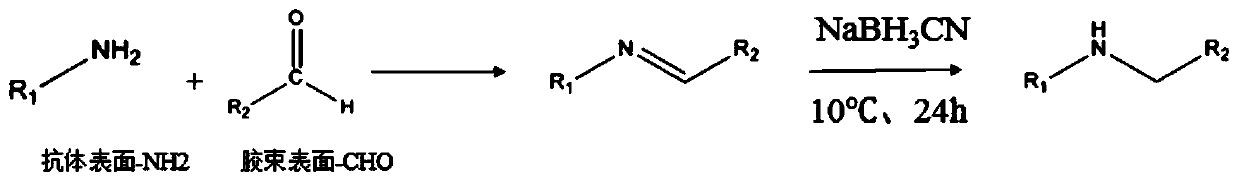 Target drug loaded micelle suitable for loading of hydrophobic chemical drugs