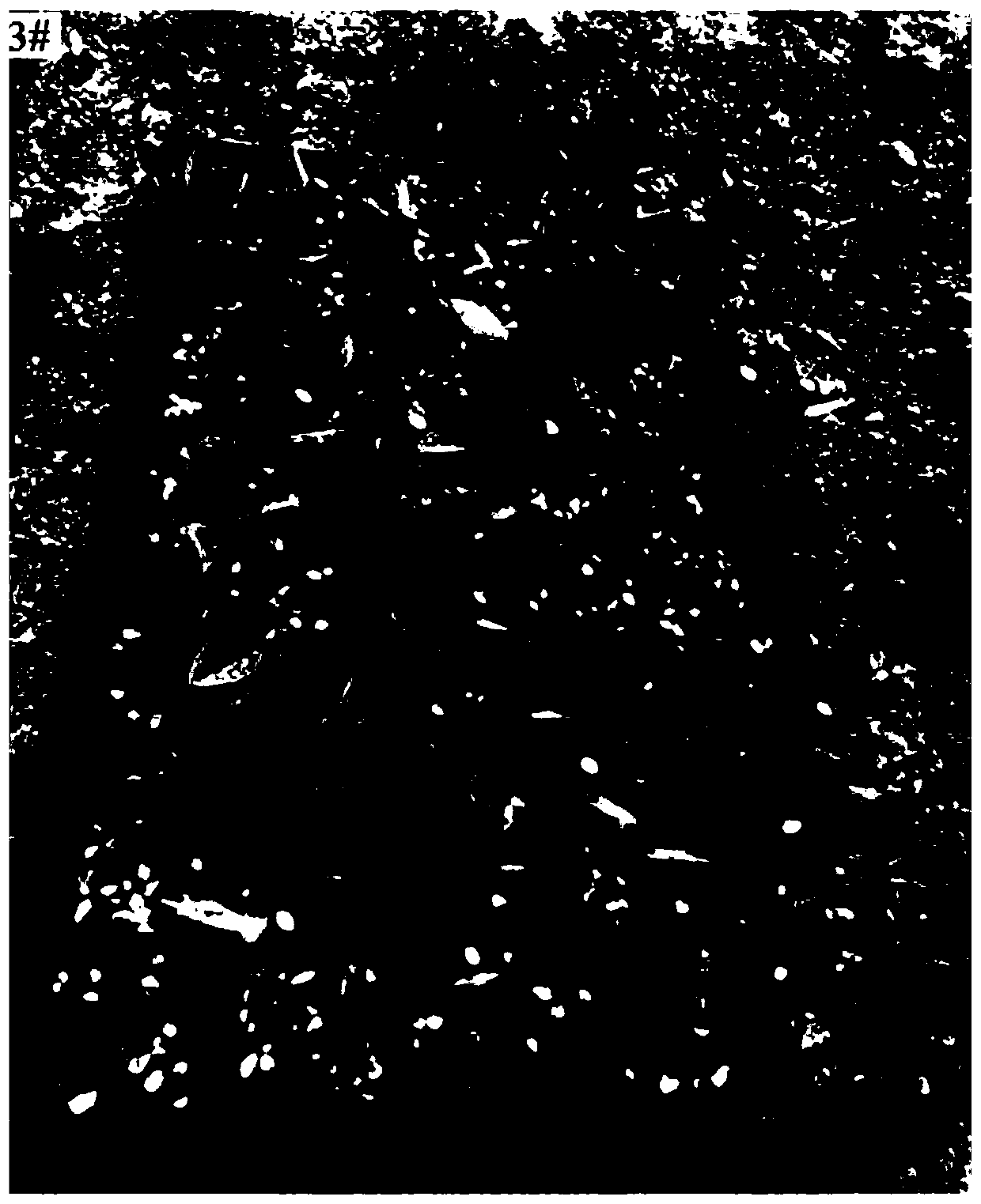 Nutrition soil for cuttage of European rosa chinensis