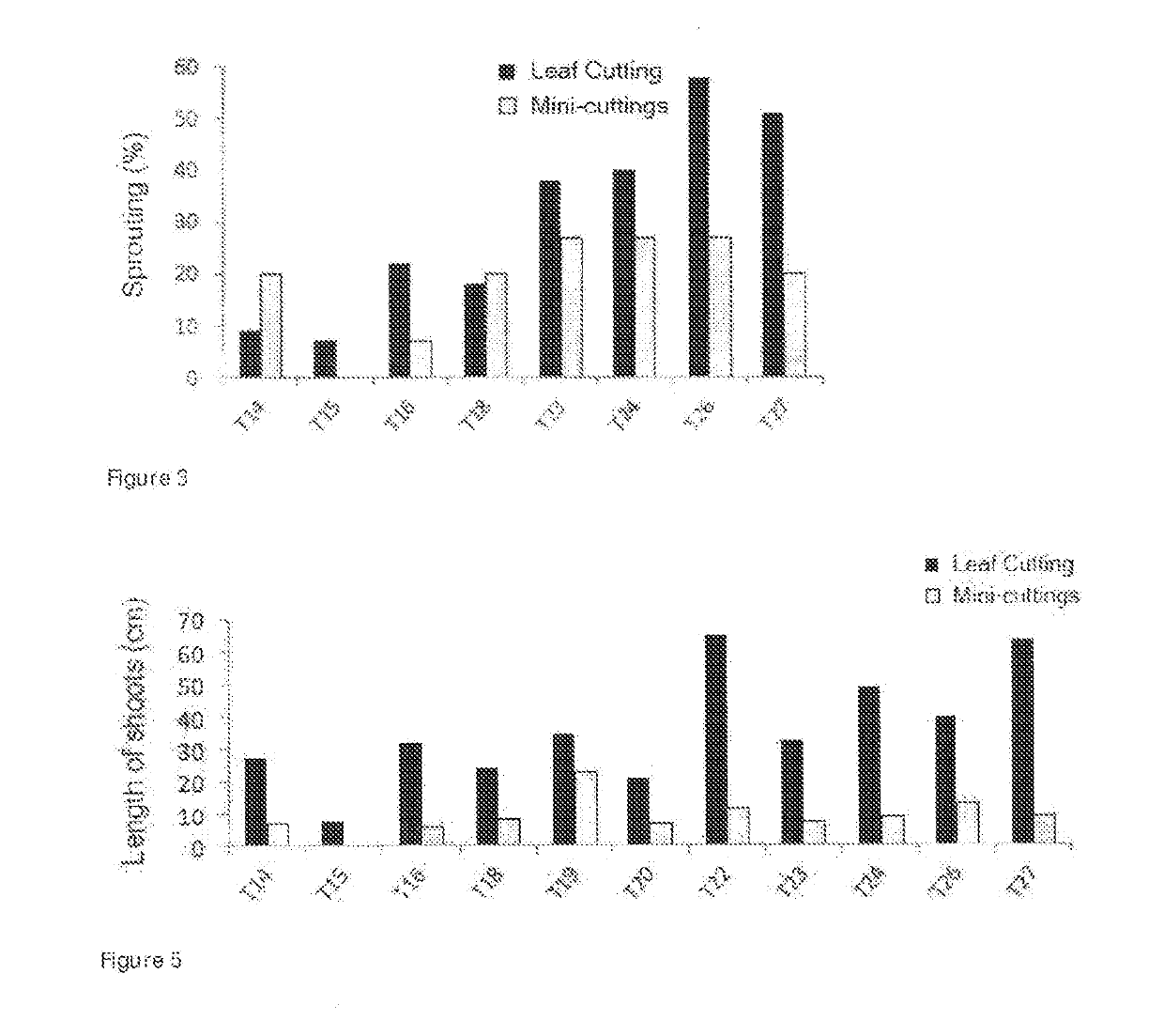 Method for propagation of woody plants from leaf cuttings