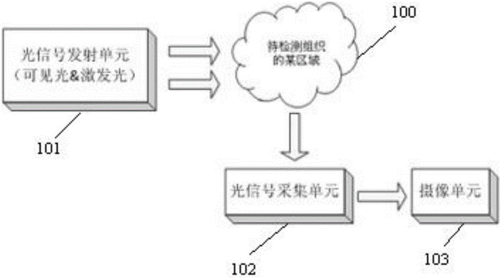 Turning light-splitting unit, and endoscope optical imaging system and imaging method