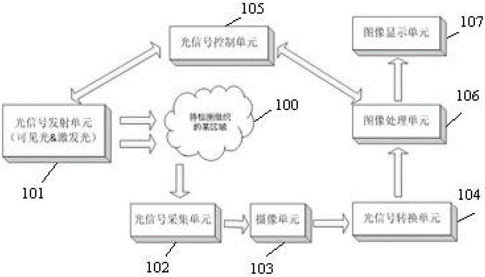 Turning light-splitting unit, and endoscope optical imaging system and imaging method