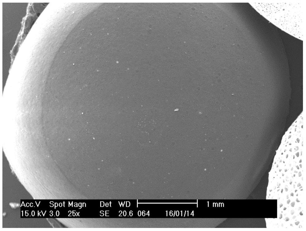 Flame-retardant antistatic polypropylene composition and expanded beads prepared therefrom