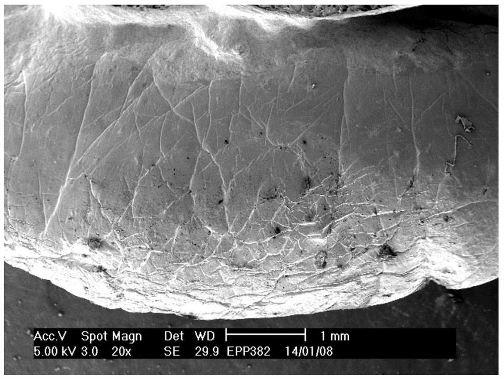 Flame-retardant antistatic polypropylene composition and expanded beads prepared therefrom