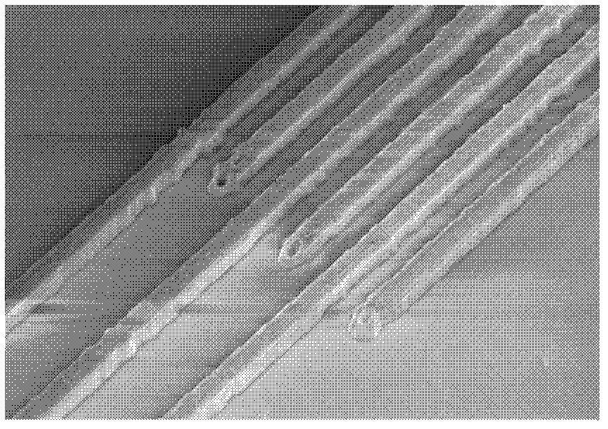 Photoresist composition, and preparation method and application thereof