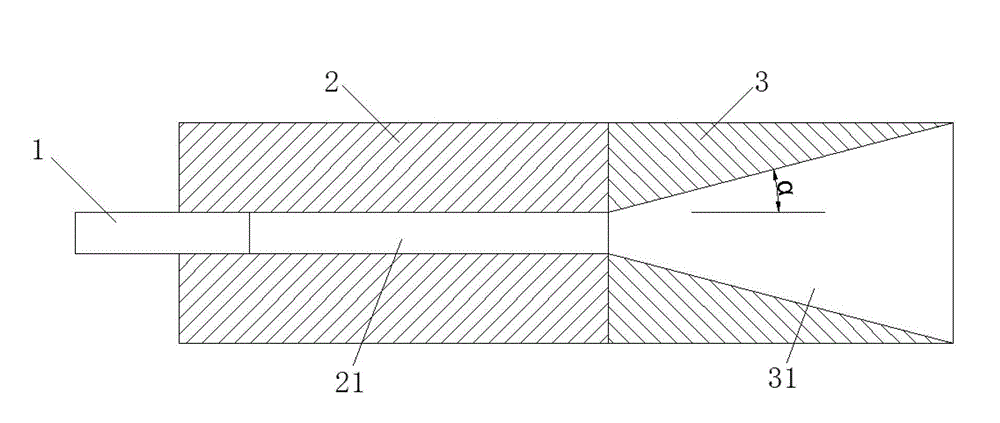 Electrode structure and electrode fixing structure for plasma thruster