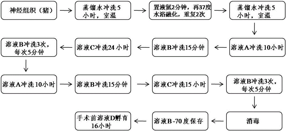 Nerve graft preparing method and product of nerve graft