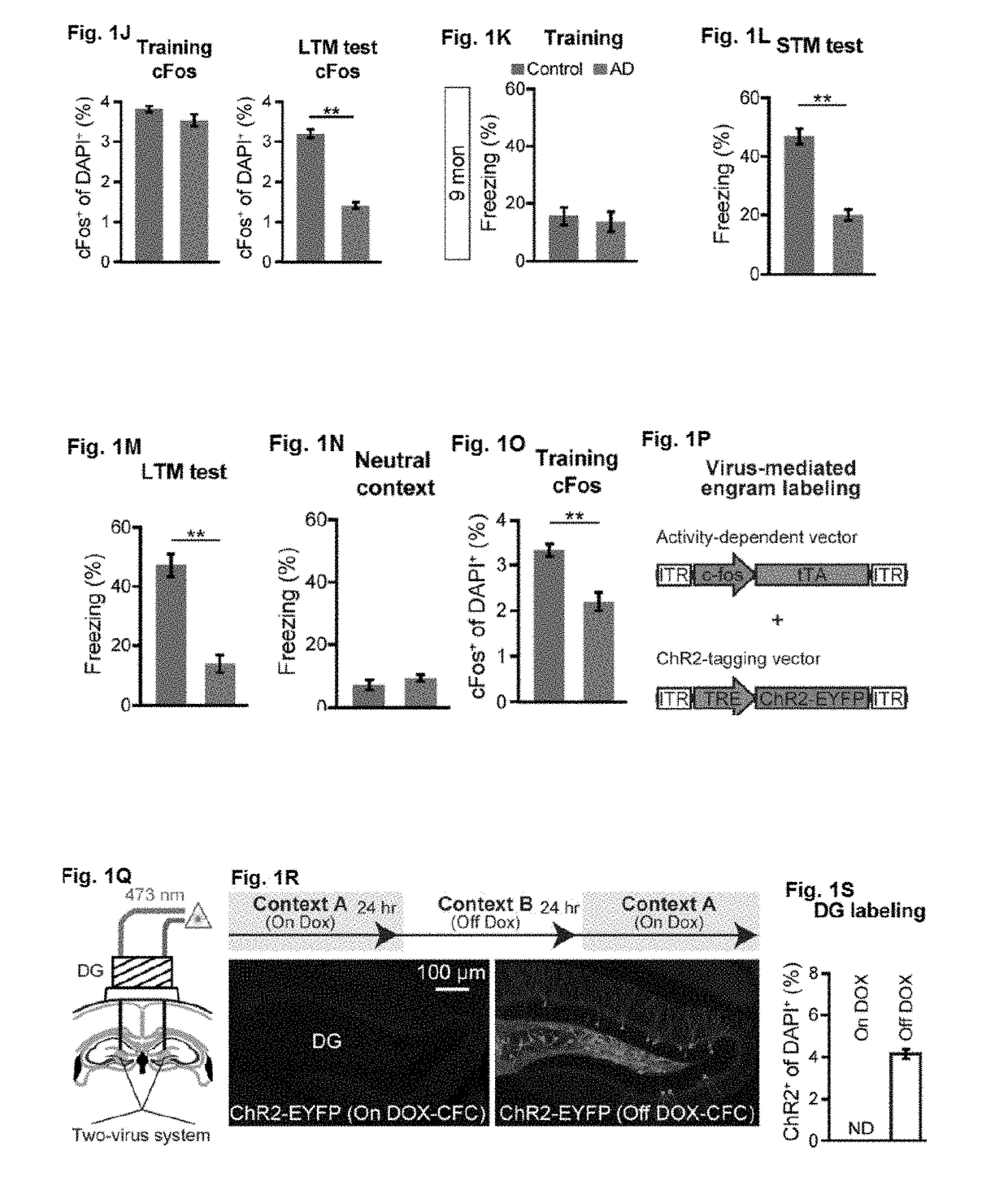 Methods and compositions for treating alzheimer's disease and other memory-associated disorders and conditions