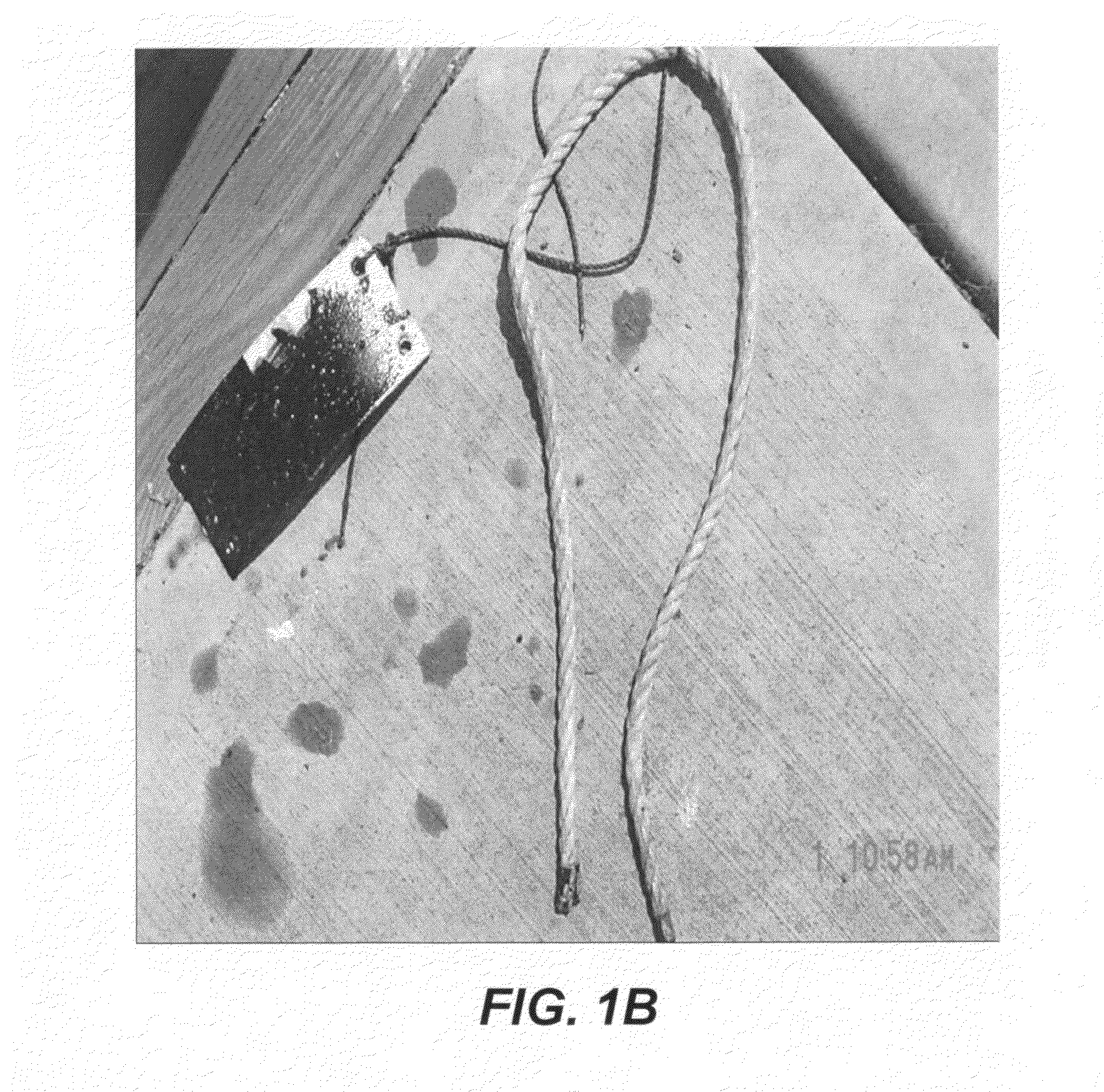 Polymer coatings containing phytochemical agents and methods for making and using same