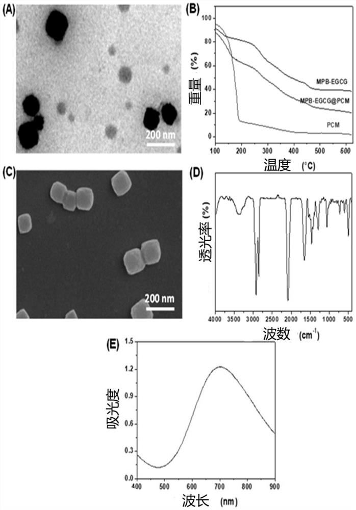 Nano drug delivery system as well as preparation method and application thereof