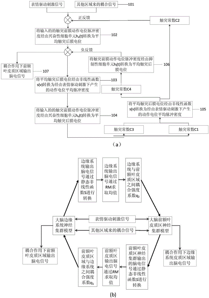 Electroencephalogram identification method based on different expression drivers