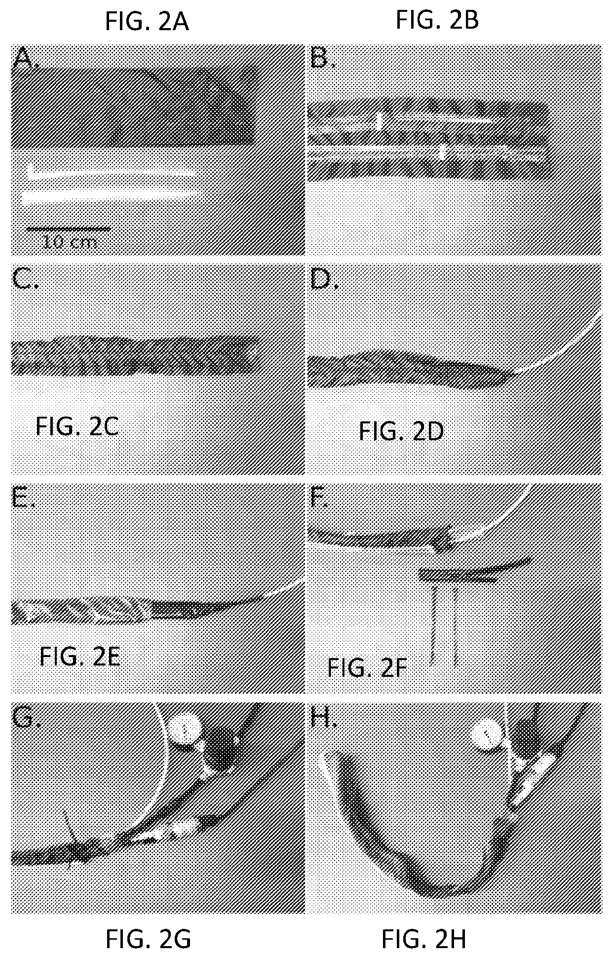 Soft robotic device with fluid emission for burrowing and cleaning