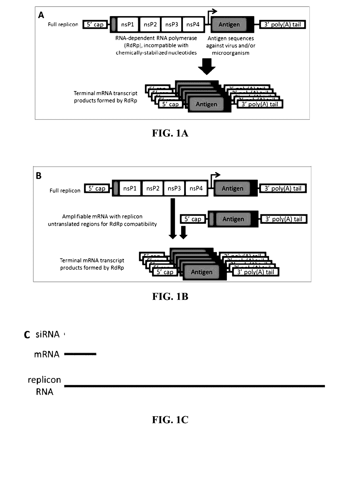 Compositions and methods for modified dendrimer nanoparticle delivery