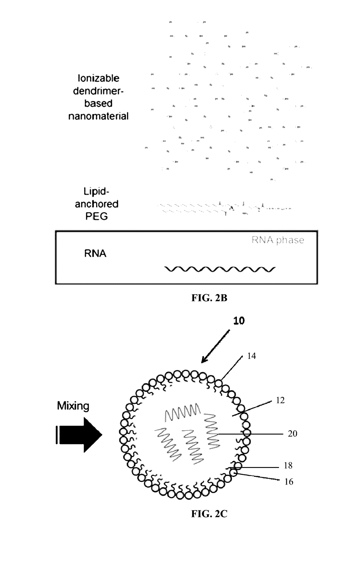 Compositions and methods for modified dendrimer nanoparticle delivery