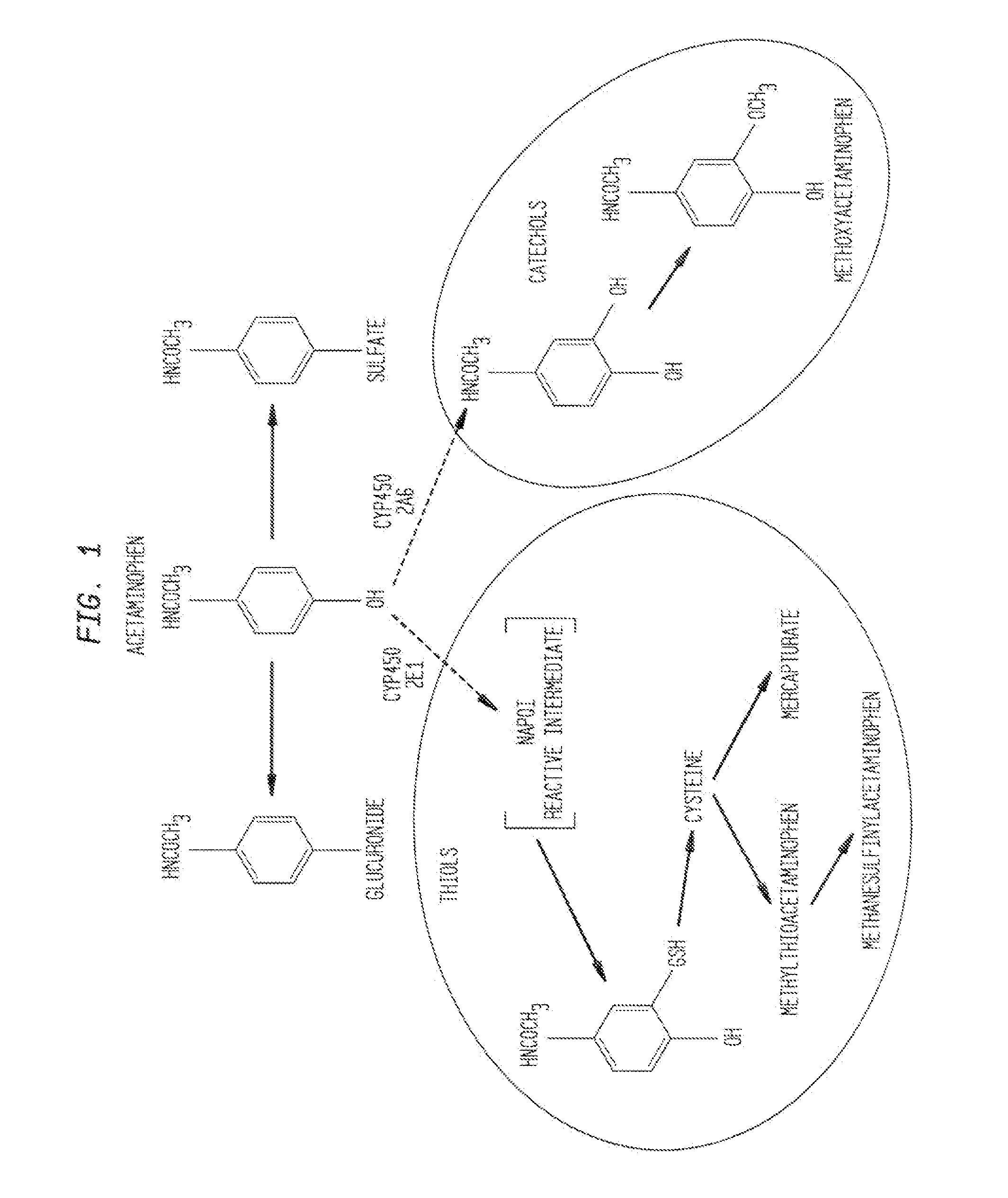 N-acetyl cysteine compositions and methods to improve the therapeutic efficacy of acetaminophen