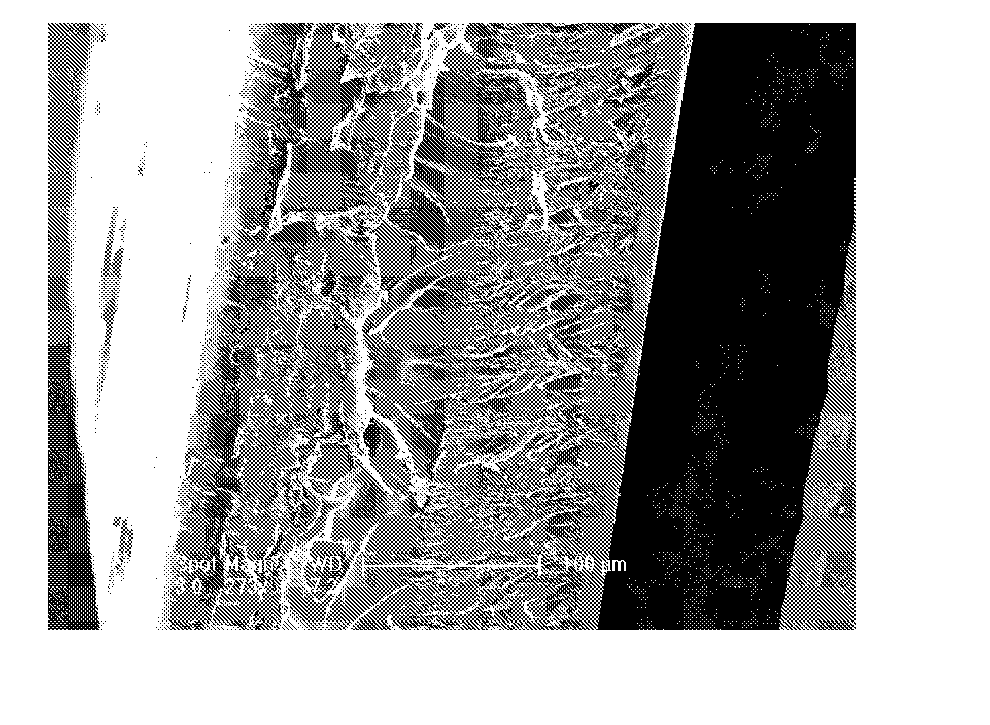 Method of preparing carbon nanotube/polymer composite material