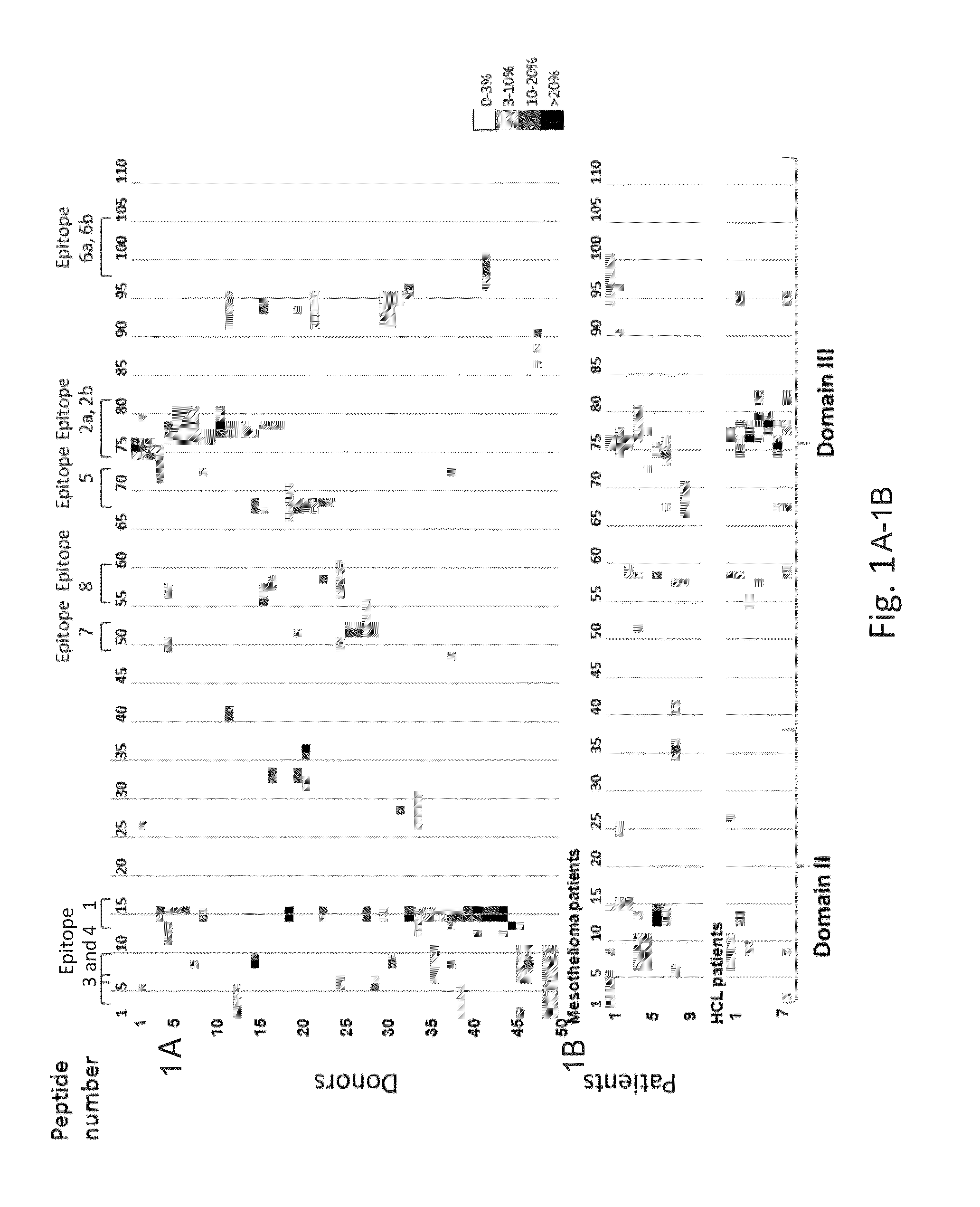 Modified pseudomonas exotoxin a