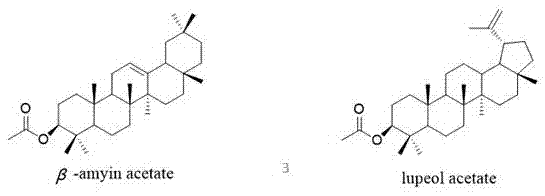 Synsepalum dulcificum leaf extract and application of same in preparation of drugs or health products used for treating diabetes or hyperlipidemia