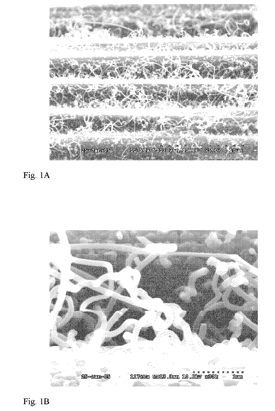 Vapor grown carbon fiber reinforced composite materials and methods of making and using same