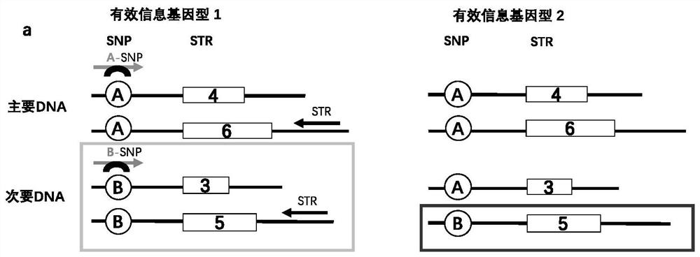 A composite system and its method and application for detecting unbalanced mixed samples