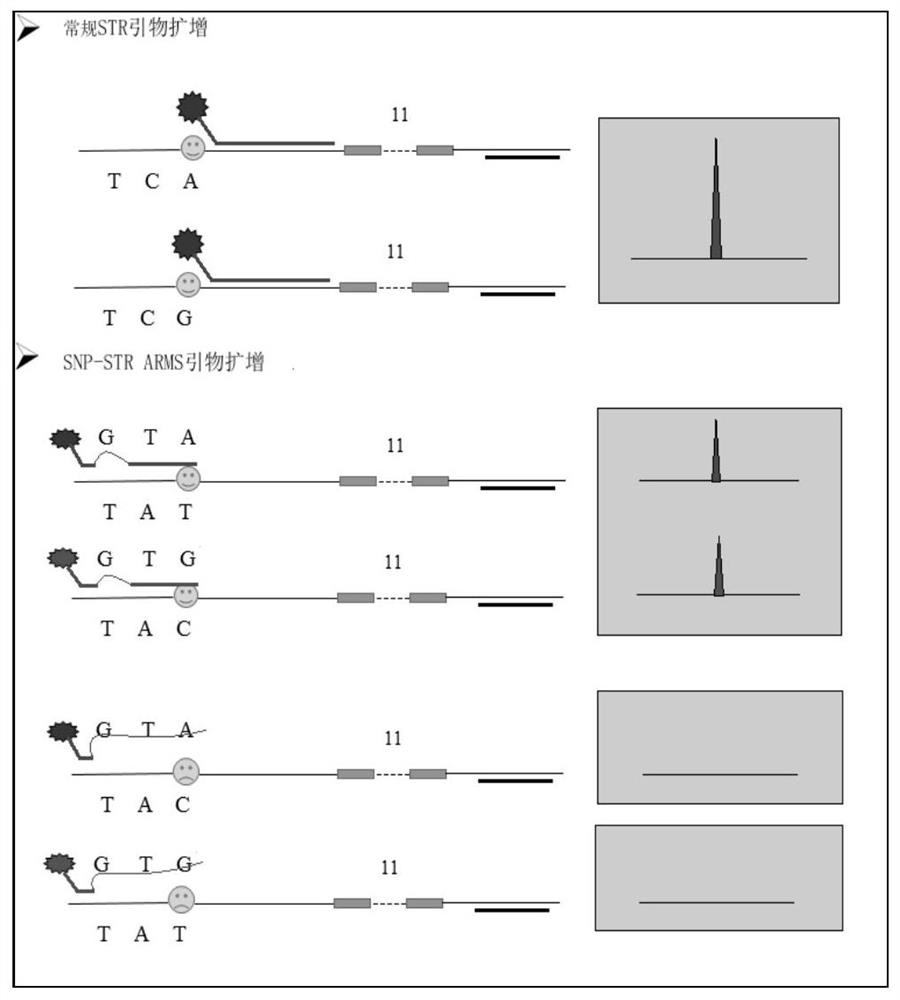 A composite system and its method and application for detecting unbalanced mixed samples