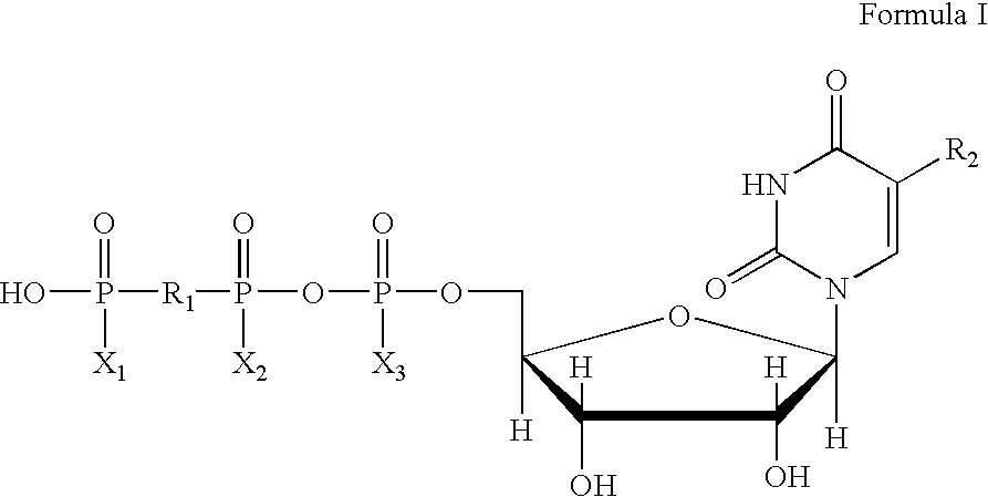 Method of treating dry eye disease with purinergic receptor agonists