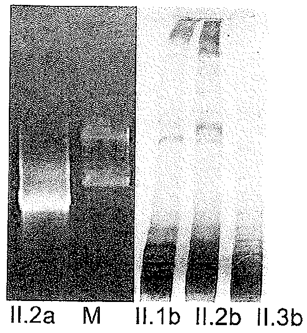 Labelling Strategies for the Sensitive Detection of Analytes