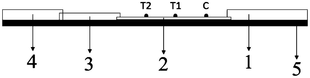 Novel coronavirus IgG/IgM antibody detection kit and detection method thereof