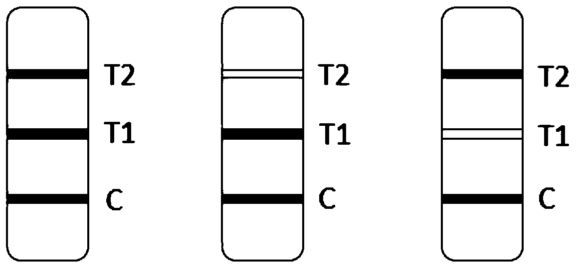 Novel coronavirus IgG/IgM antibody detection kit and detection method thereof