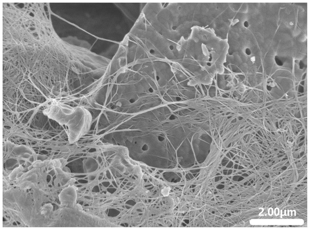 Cellulose inorganic composite membrane, high-temperature-resistant battery diaphragm as well as preparation method and application of high-temperature-resistant battery diaphragm