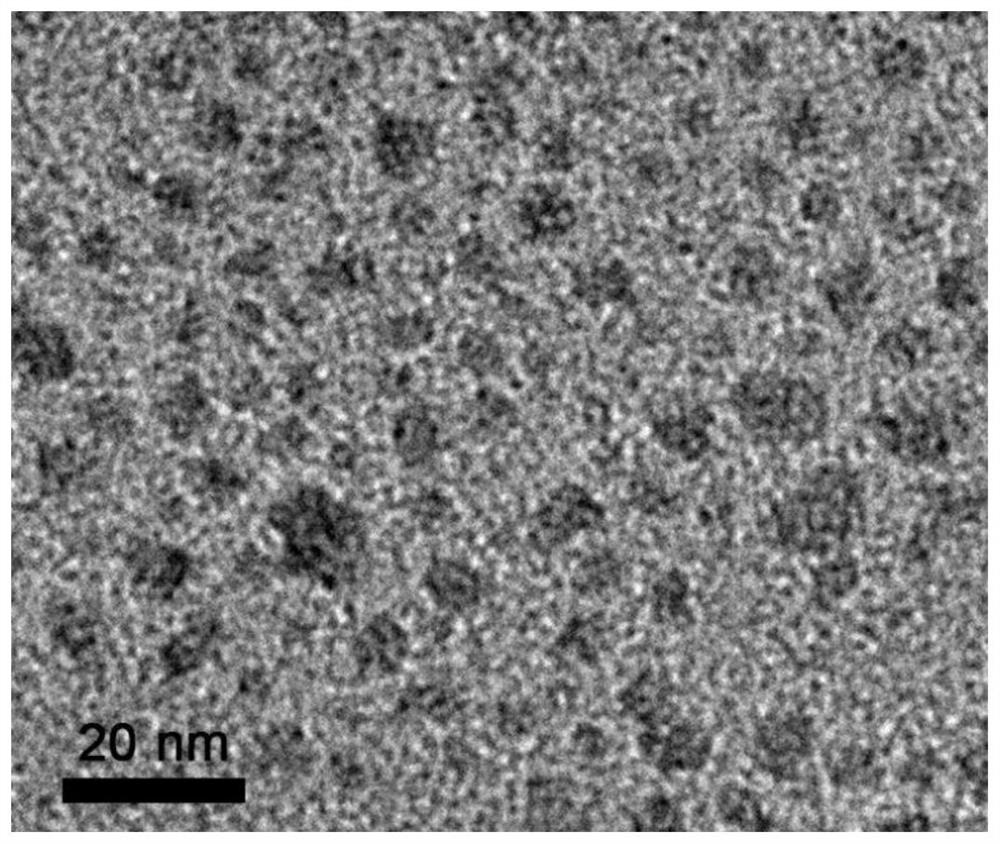 Cell nucleolus imaging red fluorescent carbon dot and preparation method and application thereof