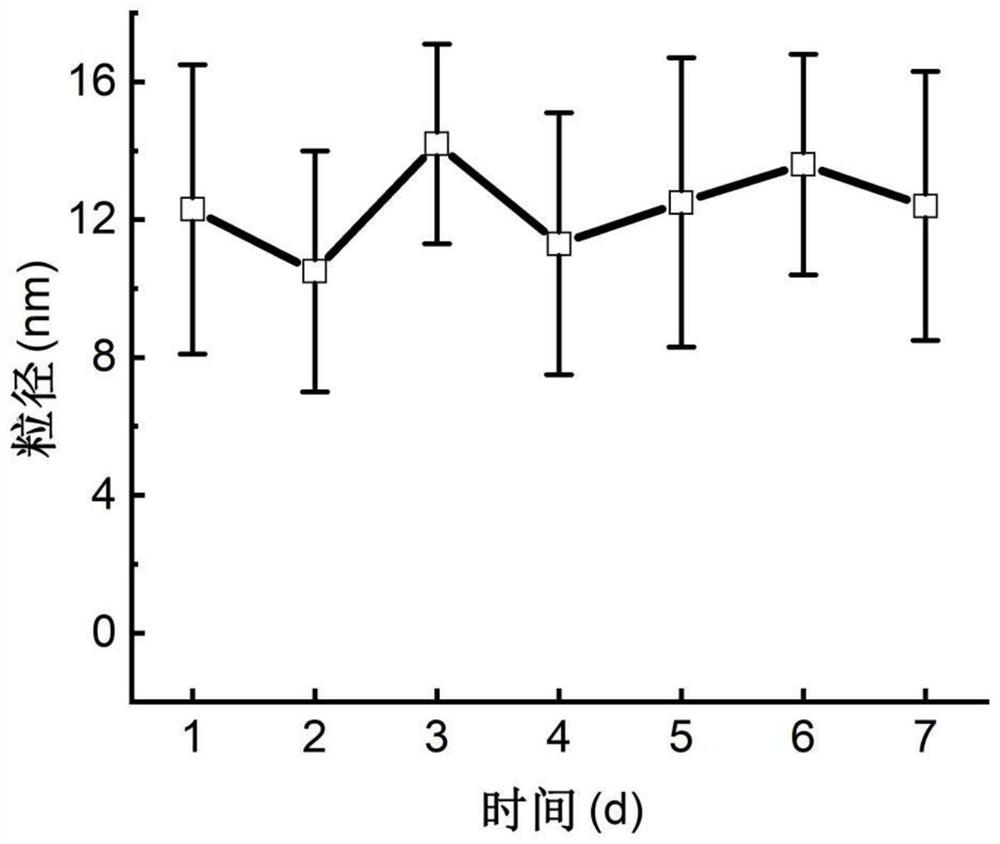 Cell nucleolus imaging red fluorescent carbon dot and preparation method and application thereof