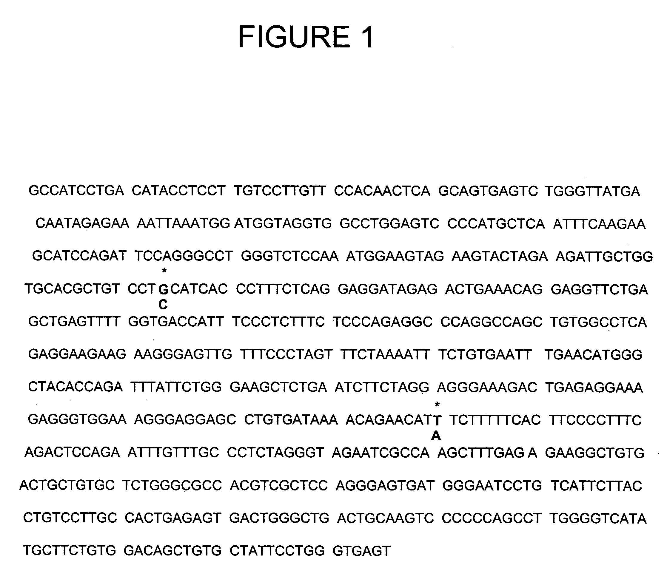 Human FcgammaRIIB gene polymorphisms for assessing development of systemic lupus erythematosus and compositions for use thereof