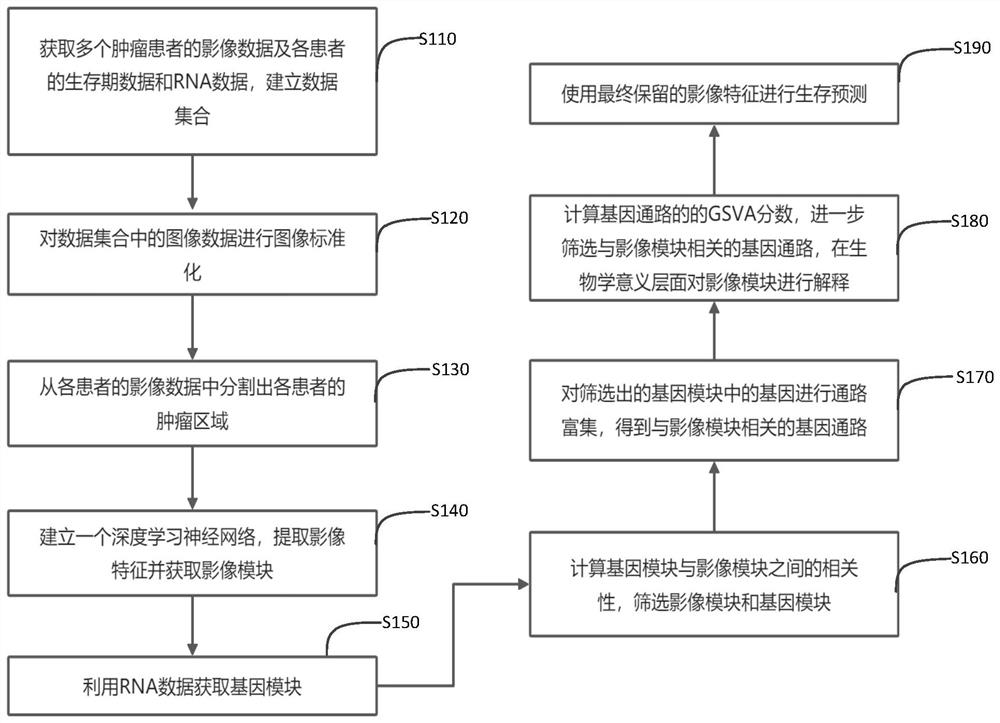 Survival prediction method and system based on image genomics