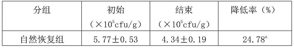 Lactobacillus food and preparation method thereof