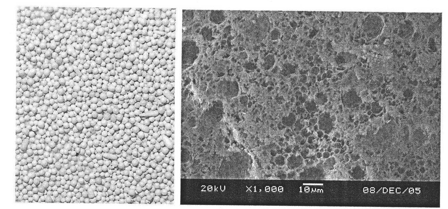 Microporous smokeless firework explosive and preparation method thereof