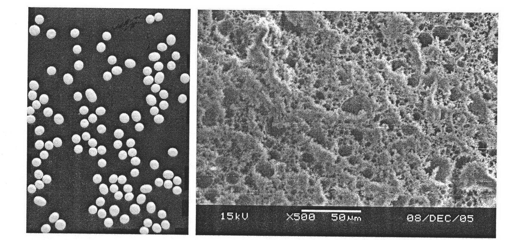 Microporous smokeless firework explosive and preparation method thereof