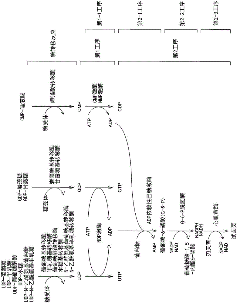 Method for detecting fluorescence or absorbance, method for suppressing background, method for measuring ADP, method for measuring activity of ADP-synthesizing enzyme, and method for measuring activity of glucosyltransferase