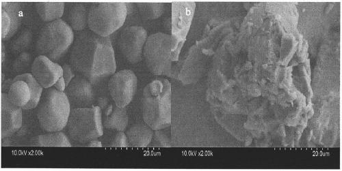 Alpha-cyclodextrin modified starch slurry and preparation method thereof