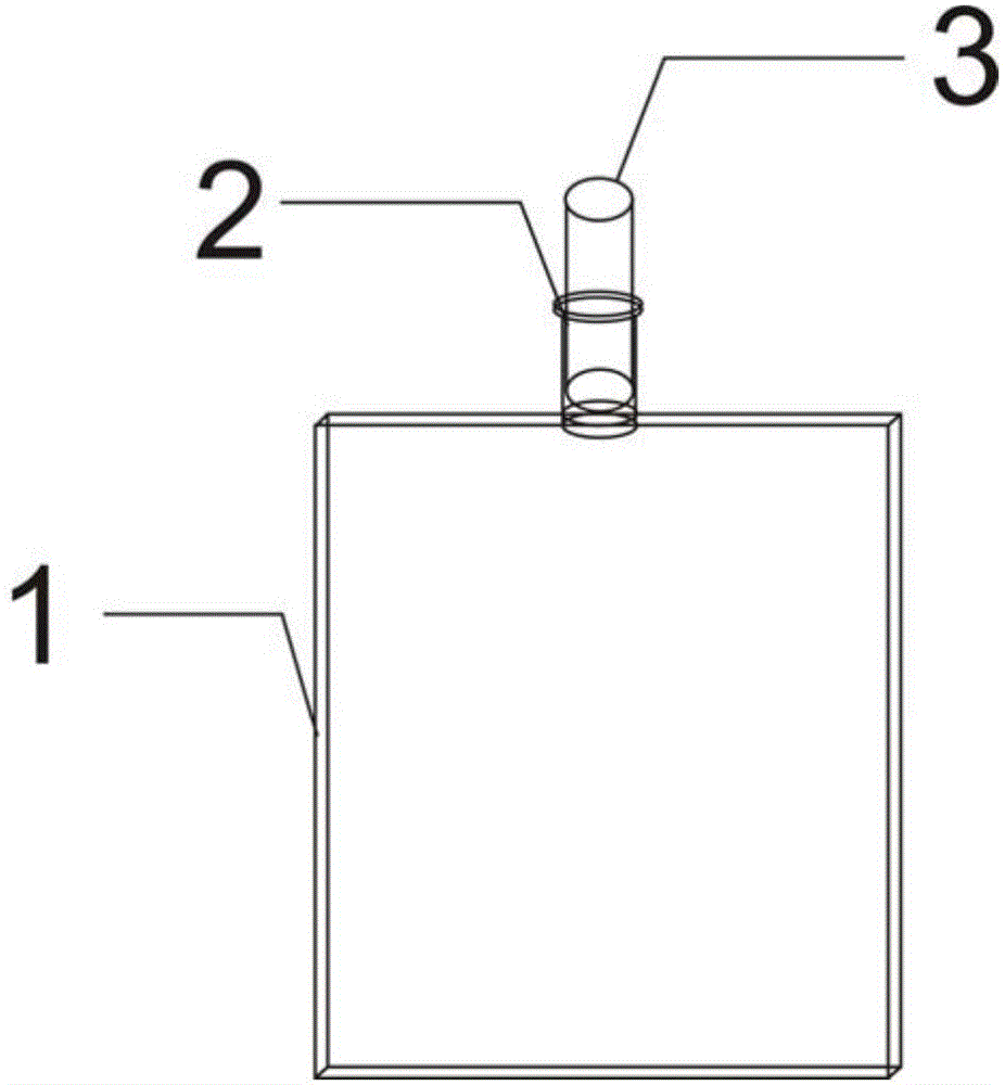 Sampling bag for expiration tester