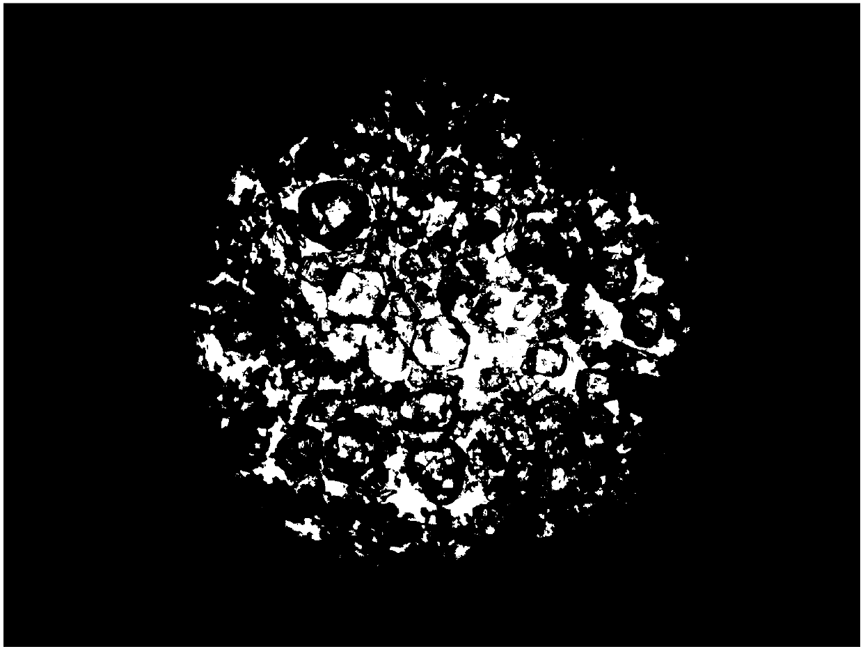 One-step method dihydrate-semi-hydrated wet production process for phosphoric acid