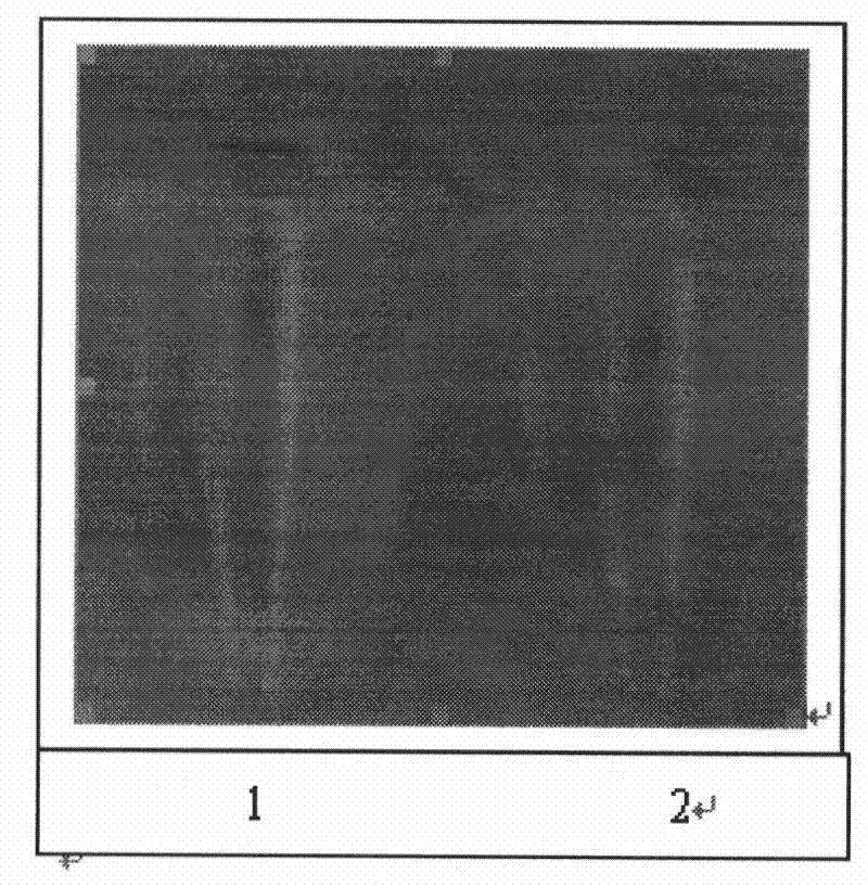 Porcine reproductive and respiratory syndrome virus RT-LAMP detection kit and detection method thereof