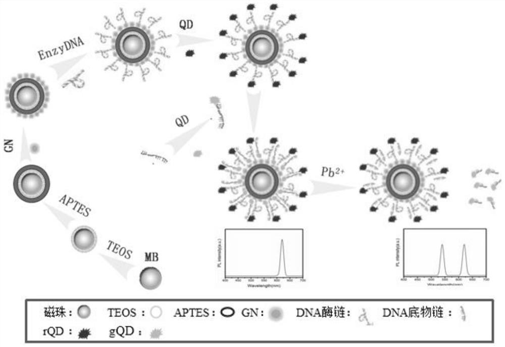 Detection method of heavy metal lead ion