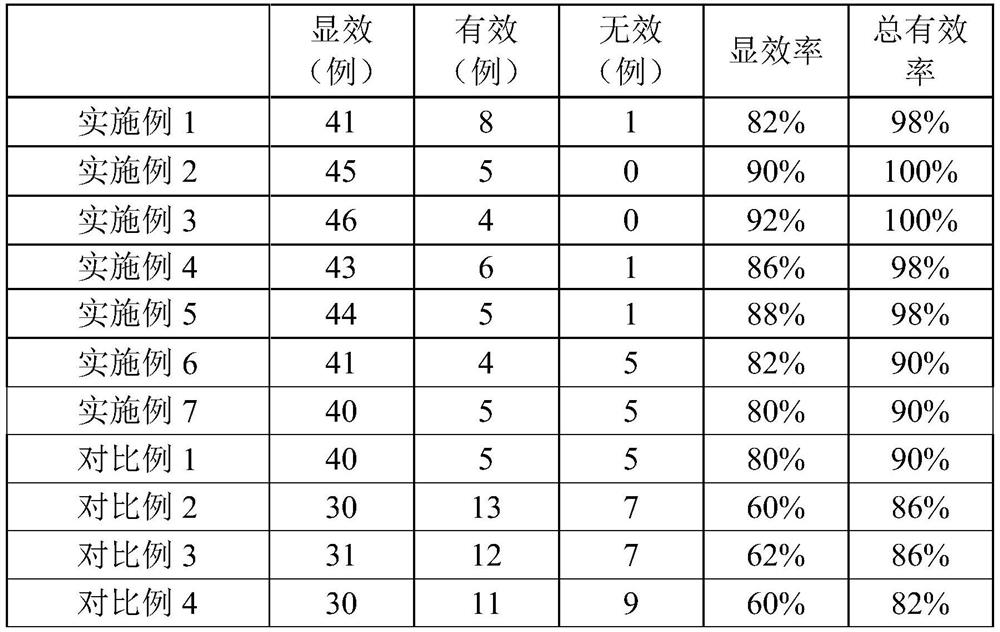 Probiotic areca nut slice and preparation method thereof