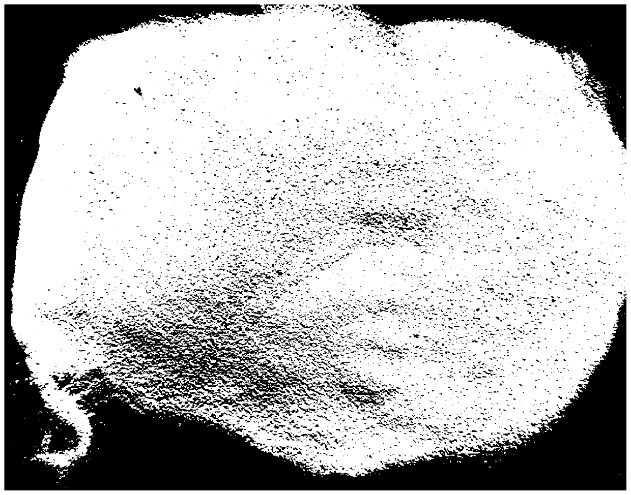 Trace rare earth ion containing all silicon-1 molecular sieve based catalyst with microspheric MFI topological structure and spray shaping preparation method thereof