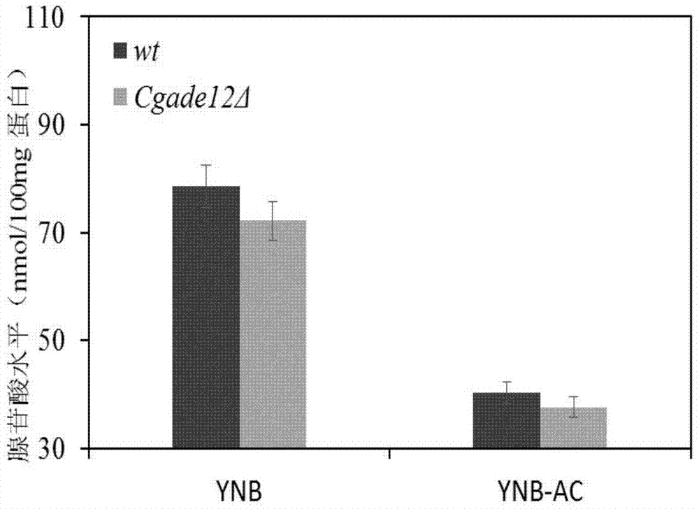 A method for improving acid stress tolerance of Torulopsis glabrata