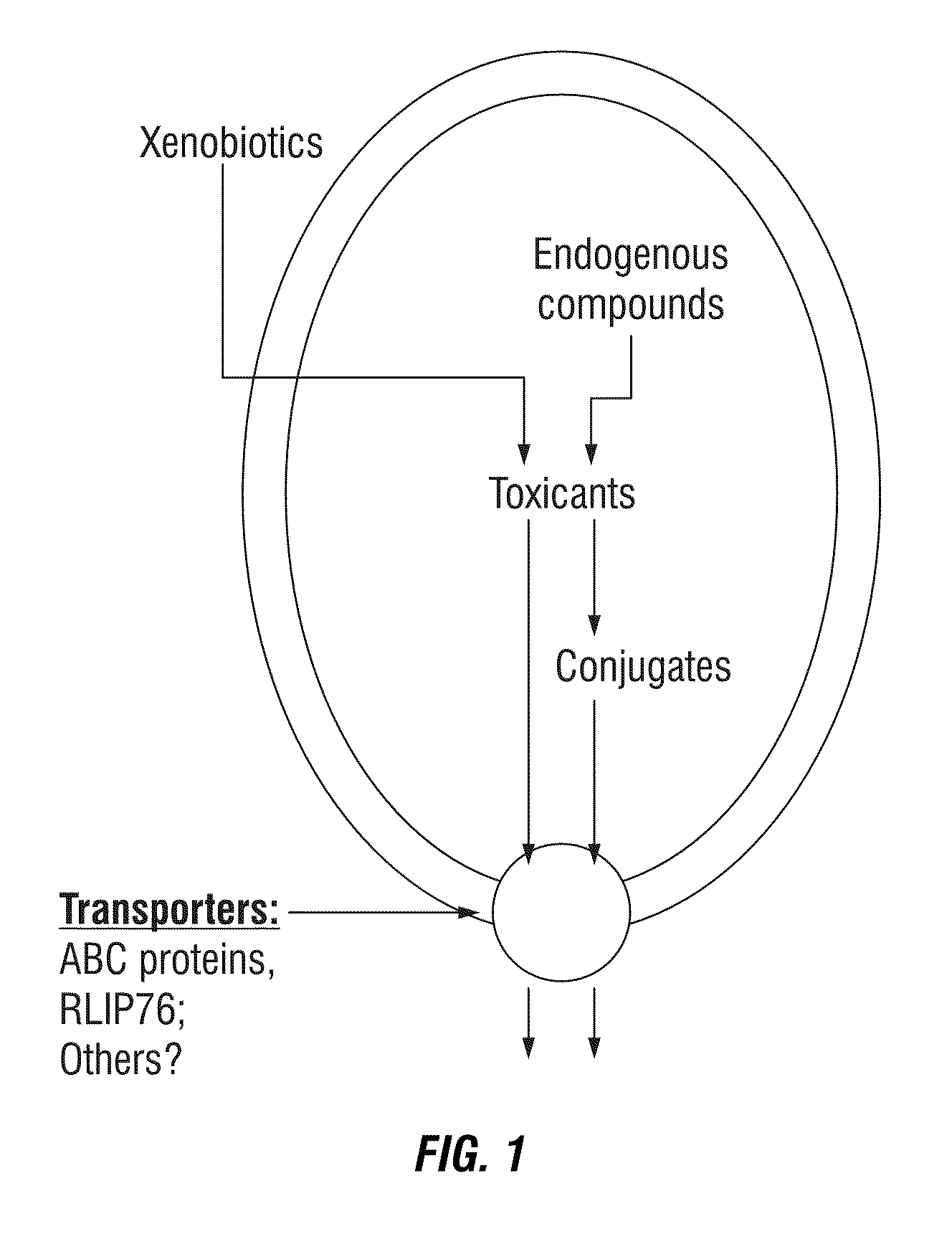 Protection against and treatment of ionizing radiation