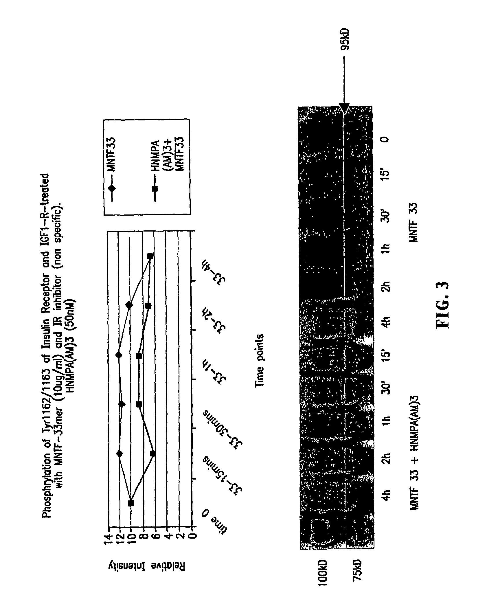 MNTF differentiation and growth of stem cells